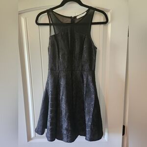 Lush Black Mini Dress